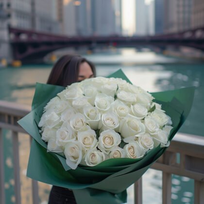 50 White Roses: Pure Elegance