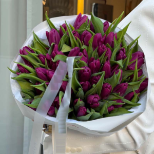 Bouquet of Deep Plum-Wine Tulips