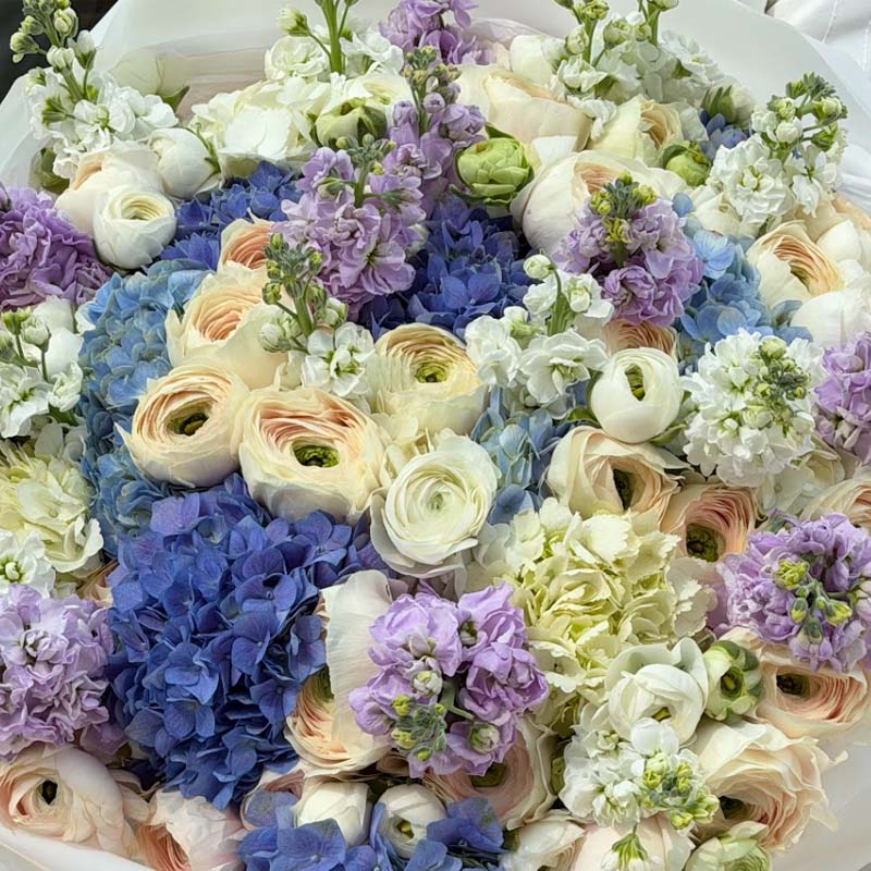 Bouquet of hydrangeas, matthiolas and ranunculus Celeste Reverie