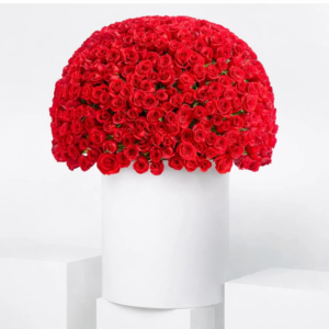 timeless-red-in-white-elegance